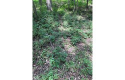 4430 Ben Lane, Walkertown, NC 27051