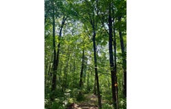 2 County Road T, Danbury, WI 54830