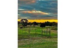 7210 Goehring Road, Ledbetter, TX 78946