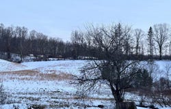 1021 B Clover Run Road, Montrose, WV 26283