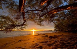 Lahaina, HI 96761