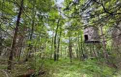 W14905 PARRISH RD, Gleason, WI 54435
