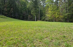 Evington, VA 24550