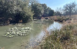 Hwy 67, Mertzon, TX 76941