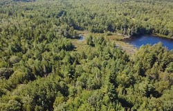 Pine Hill Lane, Blue Hill, ME 04614