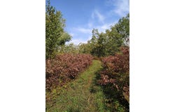 56723 Duncan Road, Sandstone, MN 55072