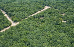 Medicine Stone Drive, Webster, FL 33597