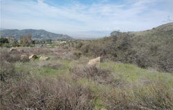 Ivy, Oak Glen, CA 92399