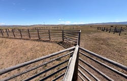 Penny Lane, Burns, OR 97720