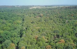 11-8-27 Windsong Way, Ozark, AR 72949
