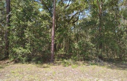 Sumac St, Interlachen, FL 32148