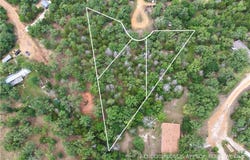405 Possum Run, Somerville, TX 77879