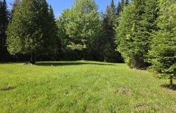 Davis Brook Road lot: 10, Amity, ME 04471