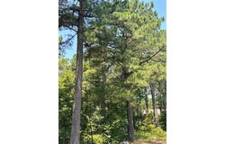 202 Crooked Cedar Trail, Broken Bow, OK 74728