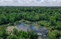 FM 39, Mexia, TX 76667