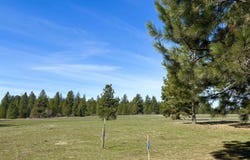200 Brook Dr, Elk, WA 99009