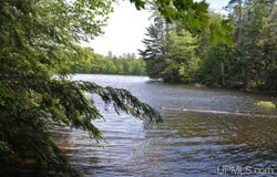 H58 Road, Shingleton, MI 49884