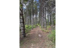 1 Acre Crestview/US Highway 10, Reed City, MI 49677