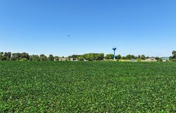 N BaumannSt, Campbellsport, WI 53010