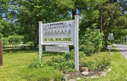 5822 Paradise Valley Road, Cresco, PA 18326