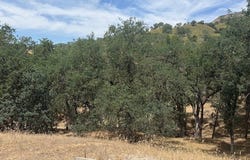 2463 Captains Walk, Bradley, CA 93426