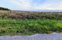 TOM BRYAN RD, ZOLFO SPRINGS, FL 33890