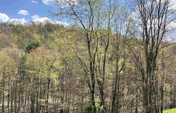Porterfield Road, Philippi, WV 26416