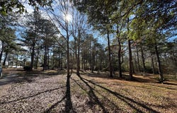151 Plantation Rd, Carriere, MS 39426
