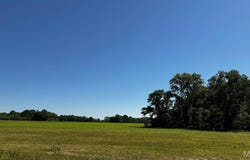 2221 County Road 608, Poplar Bluff, MO 63901