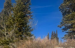 6838 E ASPEN Dr N, Eden, UT 84310
