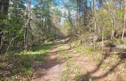 59 Egg Street, Pawlet, VT 05775