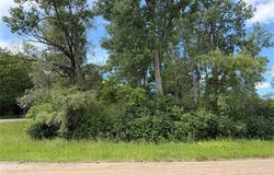 Ben Hur Drive, Brighton, MI 48114