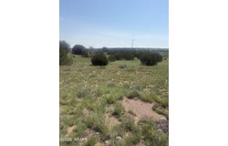 5064 Concho Drive, Concho, AZ 85924