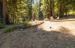 2472 Fanning Grade, BEN LOMOND, CA 95005