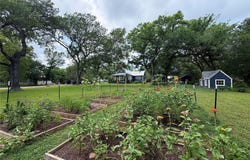 306 5th Ave, Smithville, TX 78957