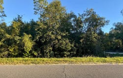 SW CR 49 lot: 4, Jasper, FL 32052