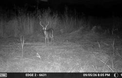 0 Dunlap Rd, Smithland, KY 42081