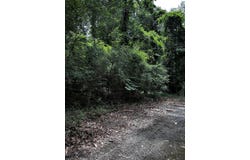 Varner Ridge Lane, Ridgeville, SC 29472