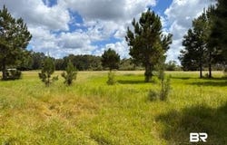 Boros Road, Elberta, AL