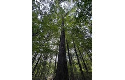 HIGHWAY 5, Jasper, AL 35503