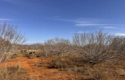TR 1 W Highway 85, Dilley, TX 78017