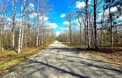 252 Sunridge Drive, Elmira, MI 49730