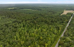 Old Sandhill Road, Edward, NC 27821