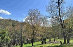 Porterfield Road, Philippi, WV 26416