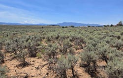 Wanda Drive lot: 2A 3, El Prado, NM 87529