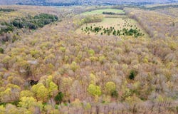 L20 Hakes Calhoun Road, Pitcher, NY 13136