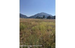 630 SNAKE RIVER Drive, Alpine, WY 83128