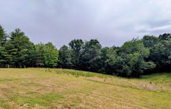 6272 Indian Valley Road, Willis, VA 24380