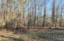 HIGHLAND STREET lot: 8, GLENCOE, AL 35903