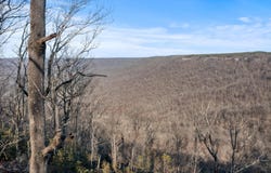 Summit Way, Jasper, TN 37347